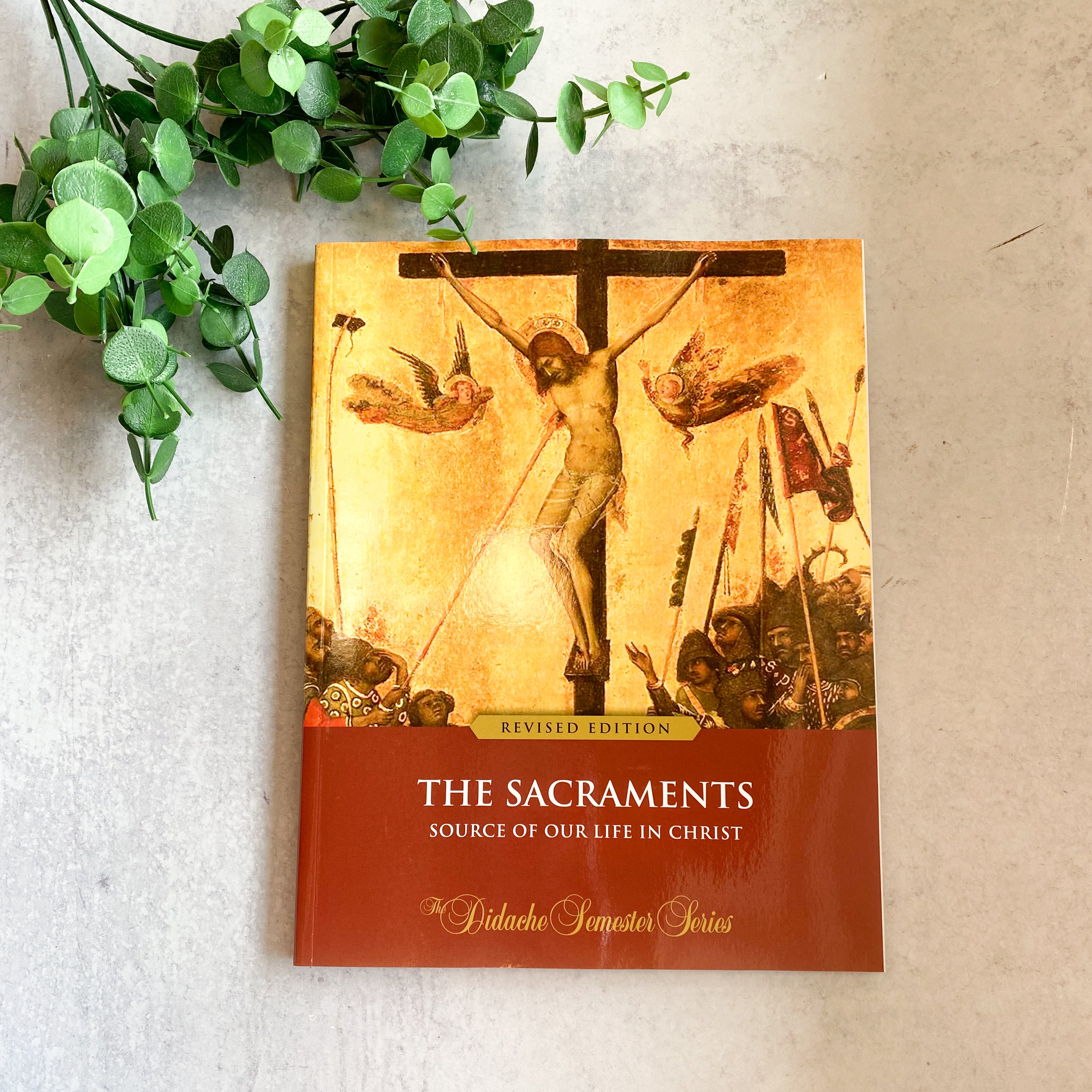 The Sacraments: Source of Our Life in Christ, Revised Semester Edition