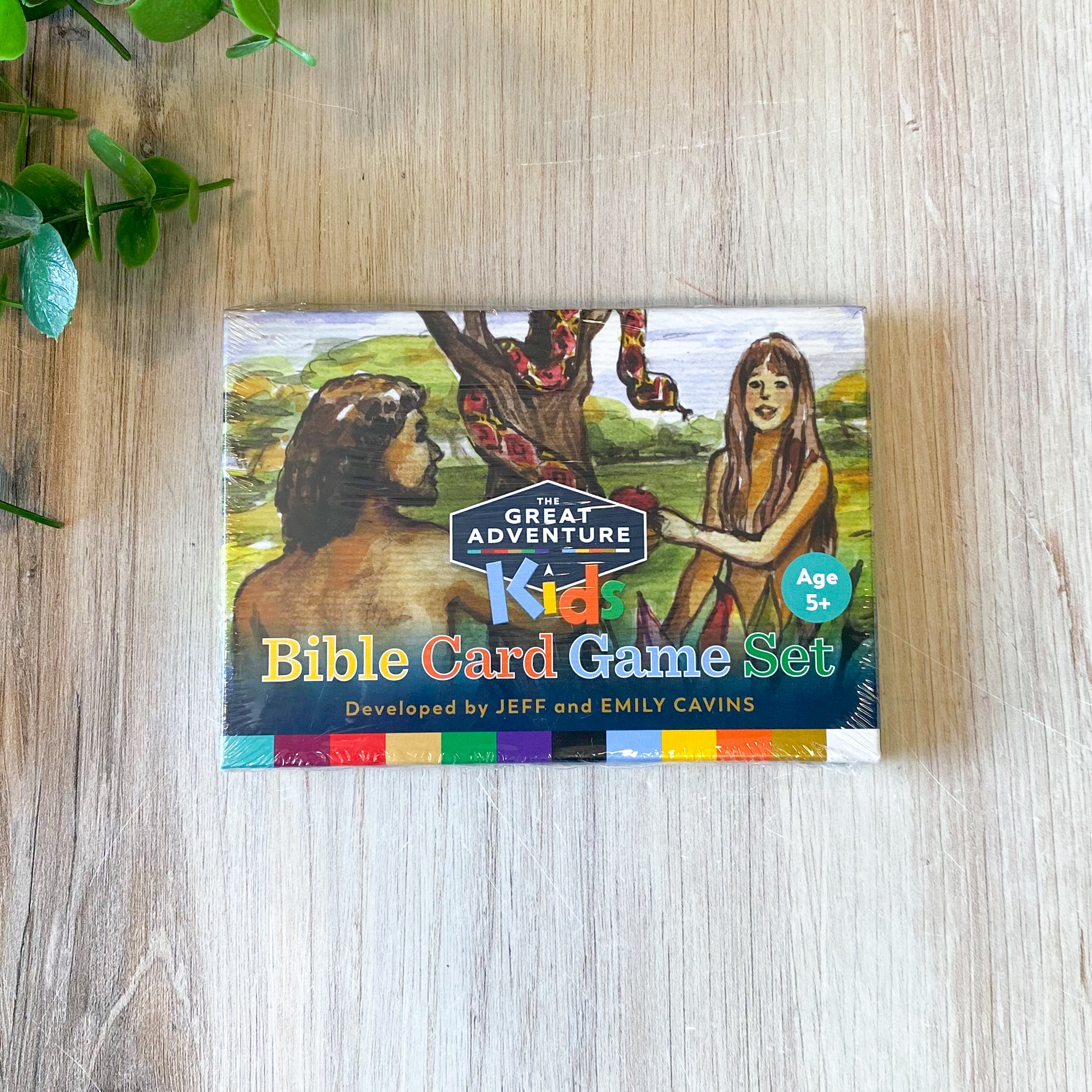 Great Adventure Kids Bible Card Game Set