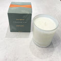 Frasier Fir Boxed Frosted Glass Candle 13 oz