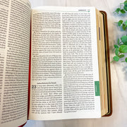 Great Adventure Bible (Brown) RSV - Catholic - 2nd Edition Premium Goatskin