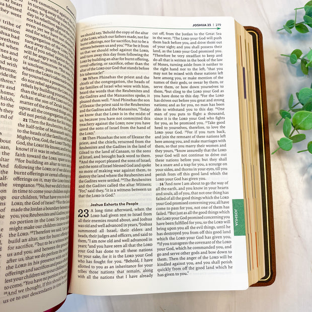 Great Adventure Bible (Brown) RSV - Catholic - 2nd Edition Premium Goatskin