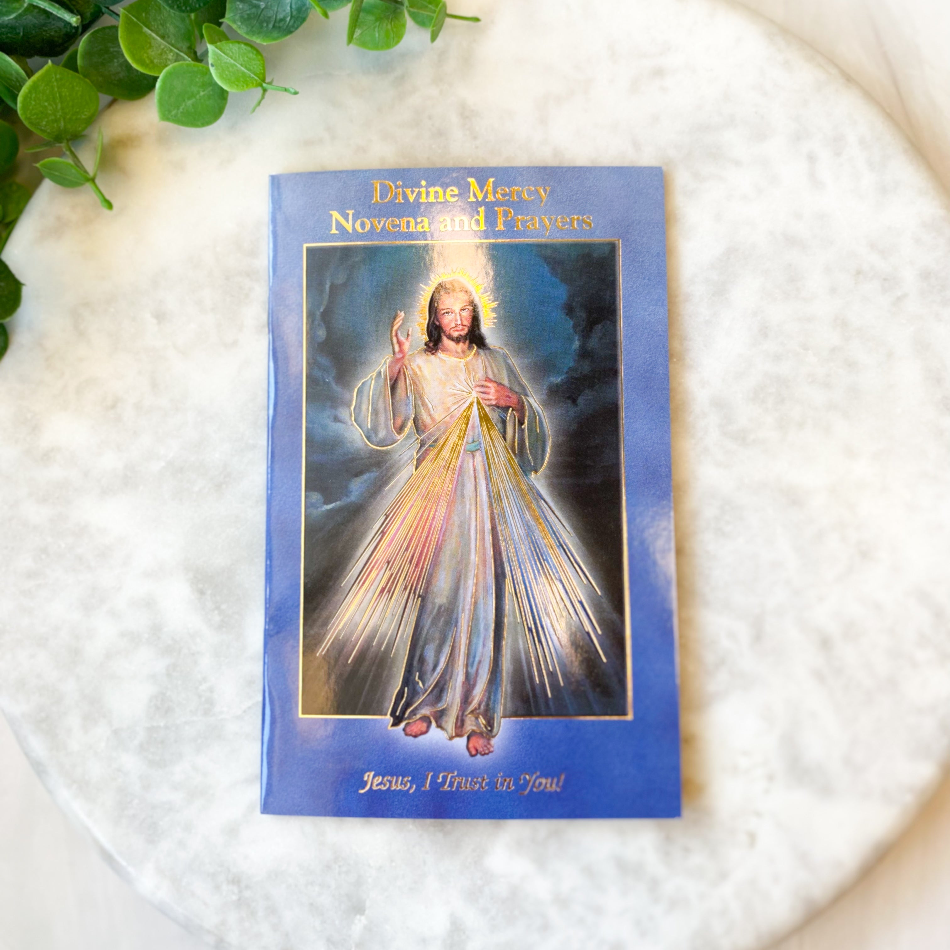 Divine Mercy Novena Book