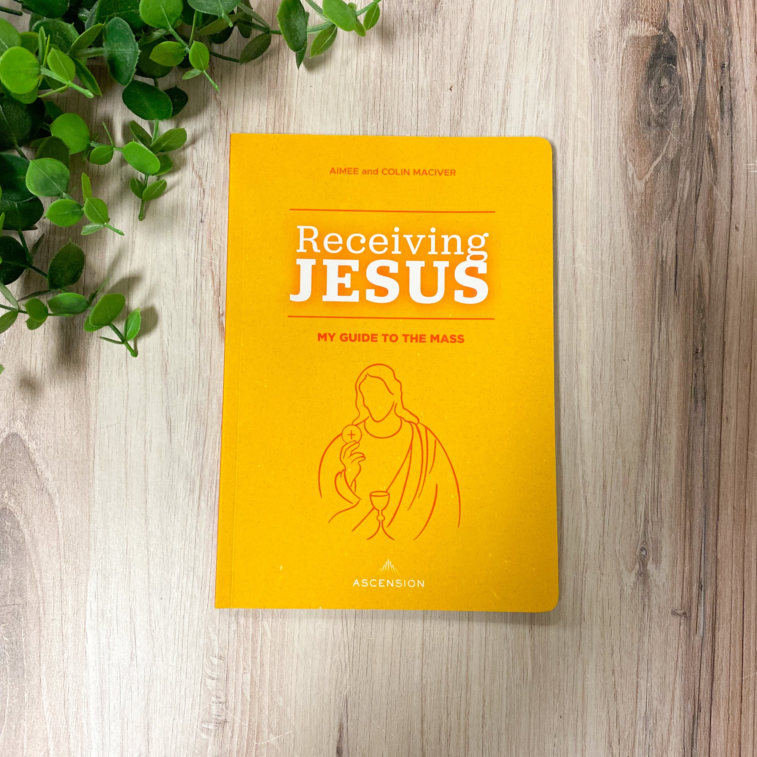 Receiving Jesus: My Guide to the Mass