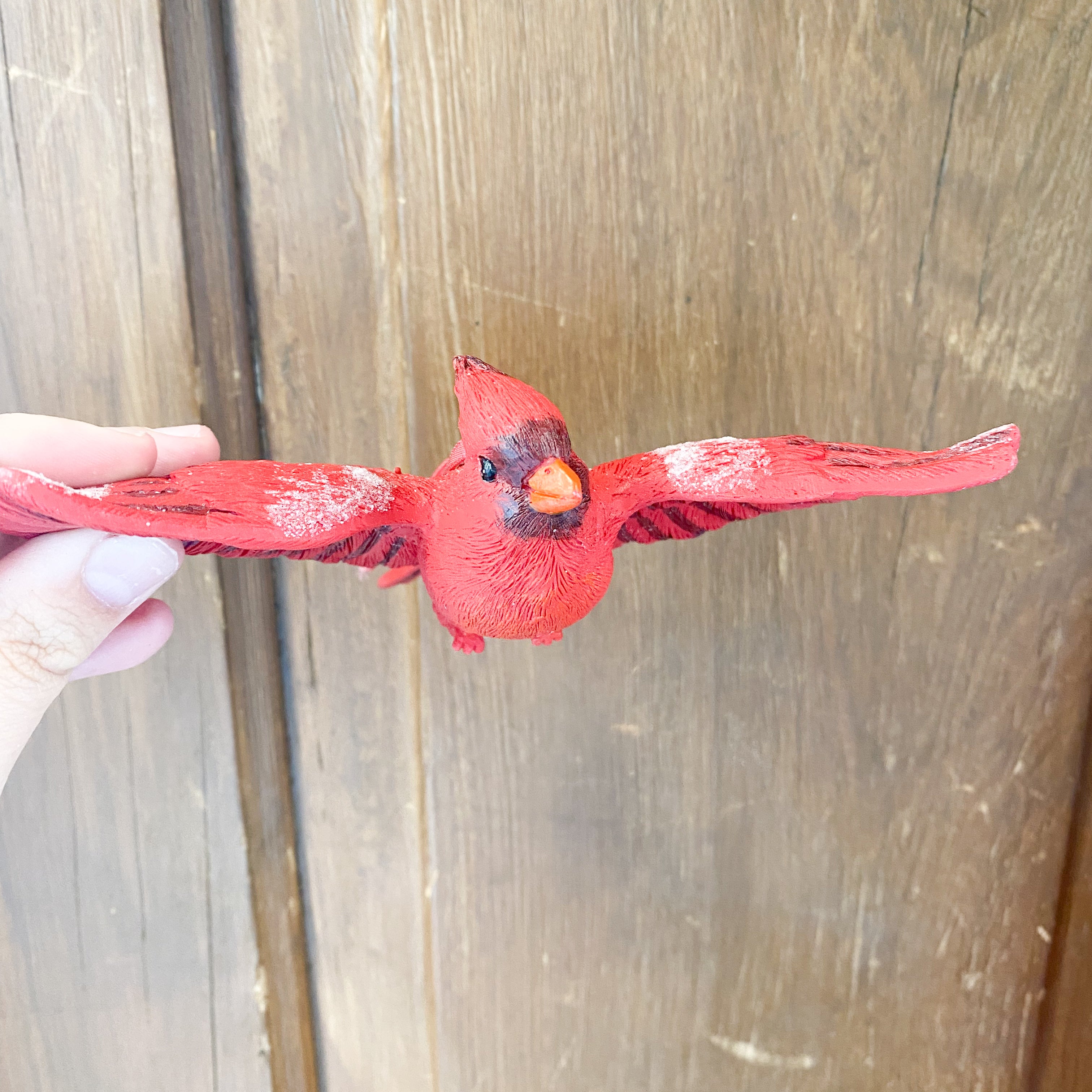 Assorted Resin Cardinal Ornaments