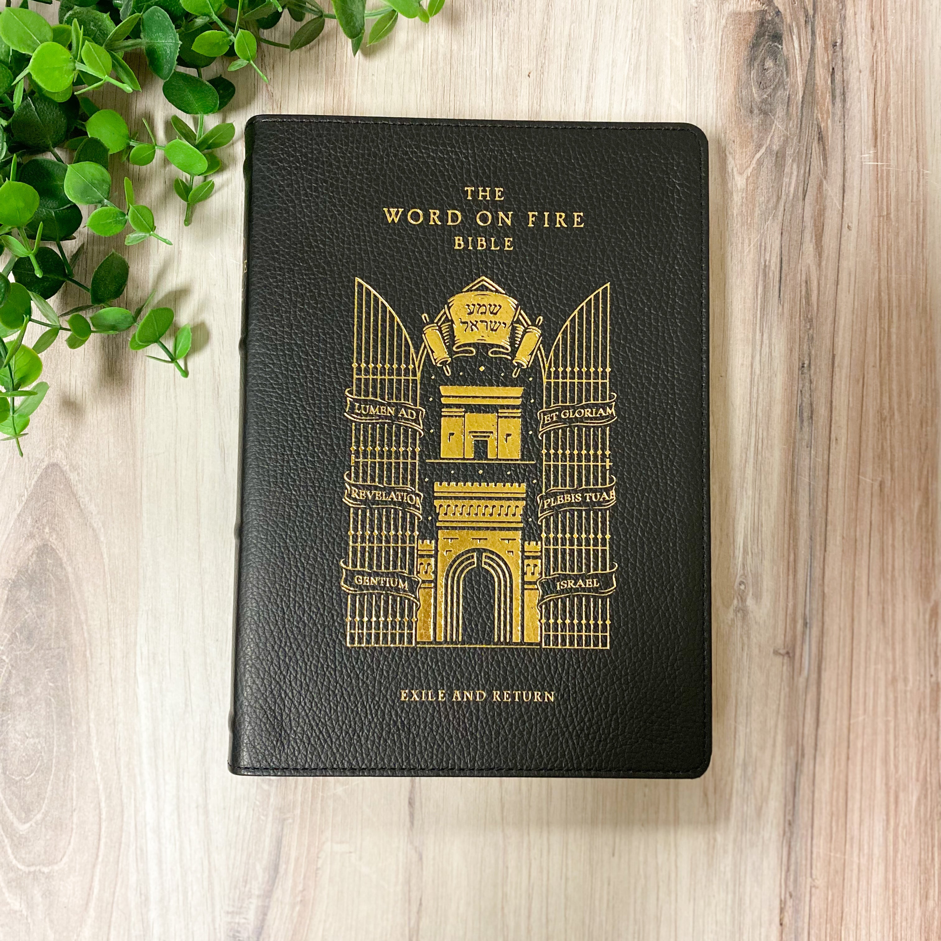 The Word on Fire Bible (Volume V): Exile and Return - Leather