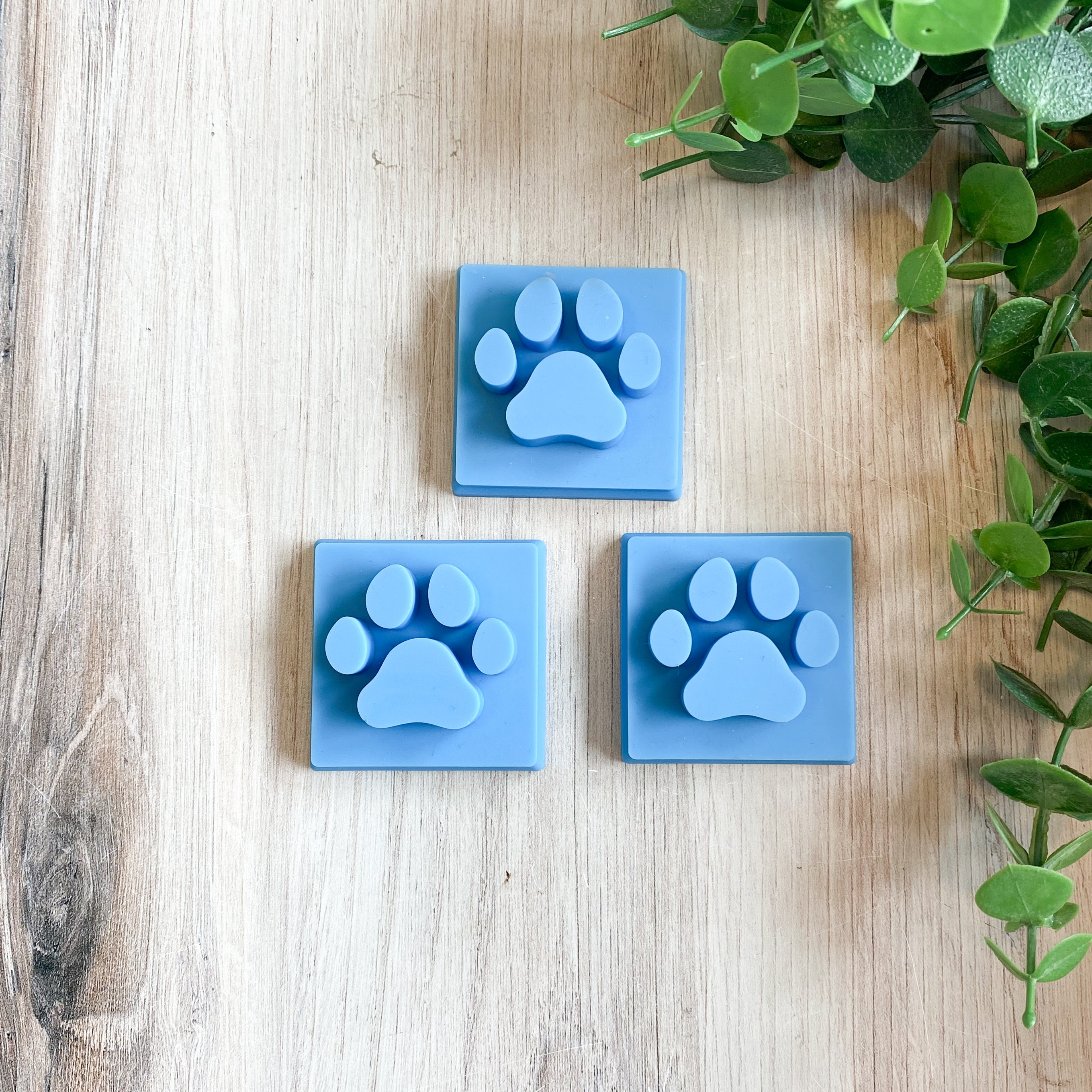 The Dog Paw Bundle