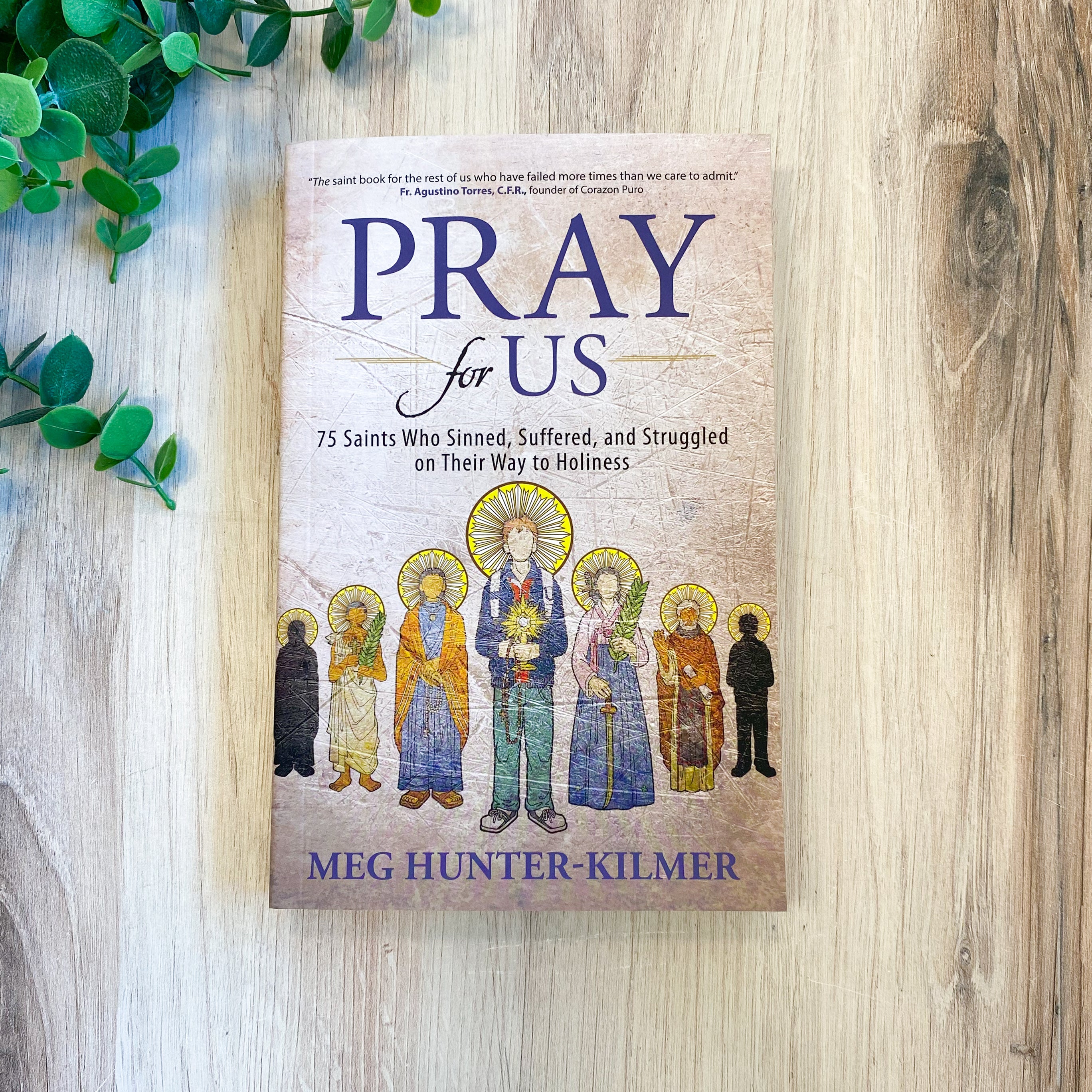 Pray for Us: 75 Saints Who Sinned, Suffered, and Struggled on Their Way to Holiness