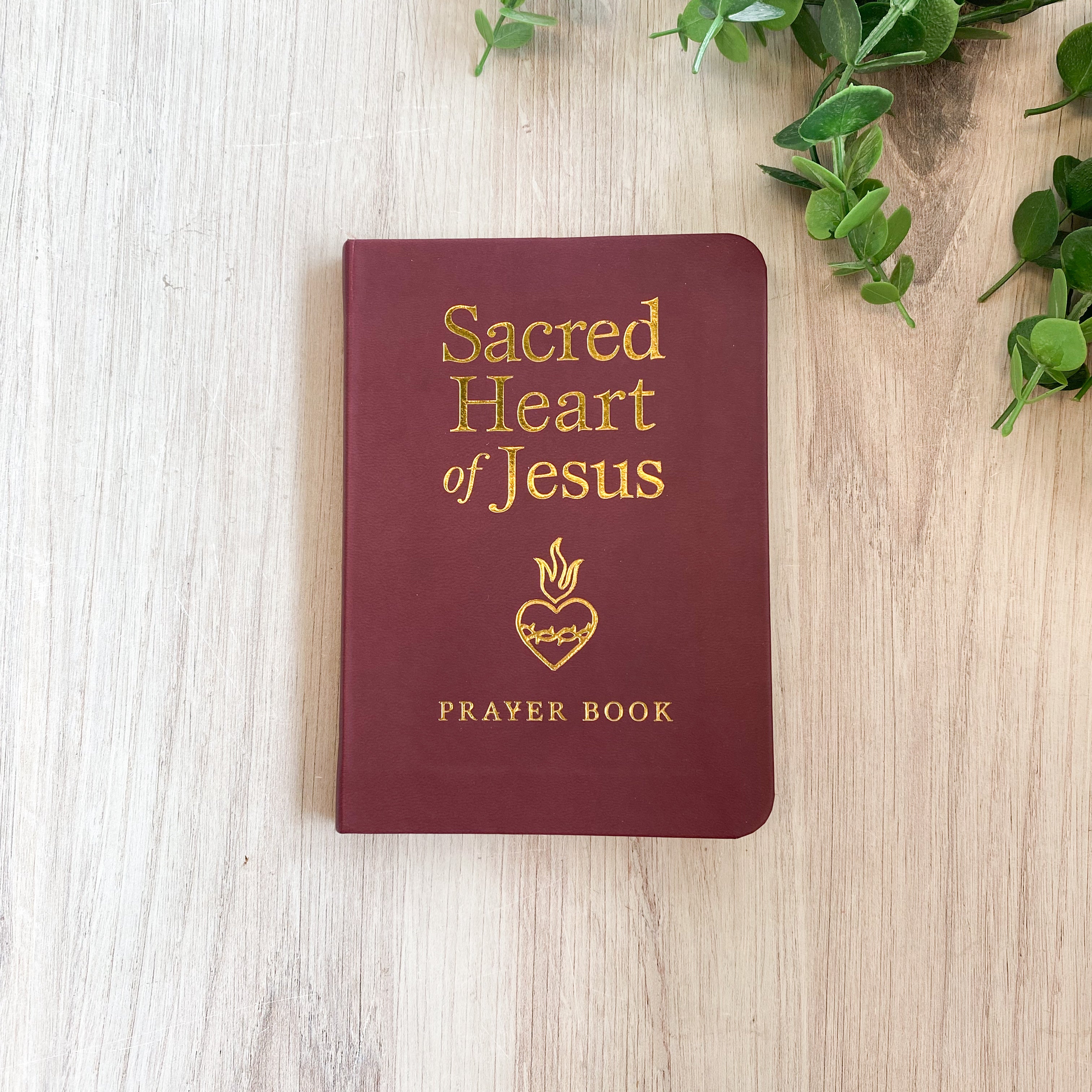 Sacred Heart of Jesus Prayer Book
