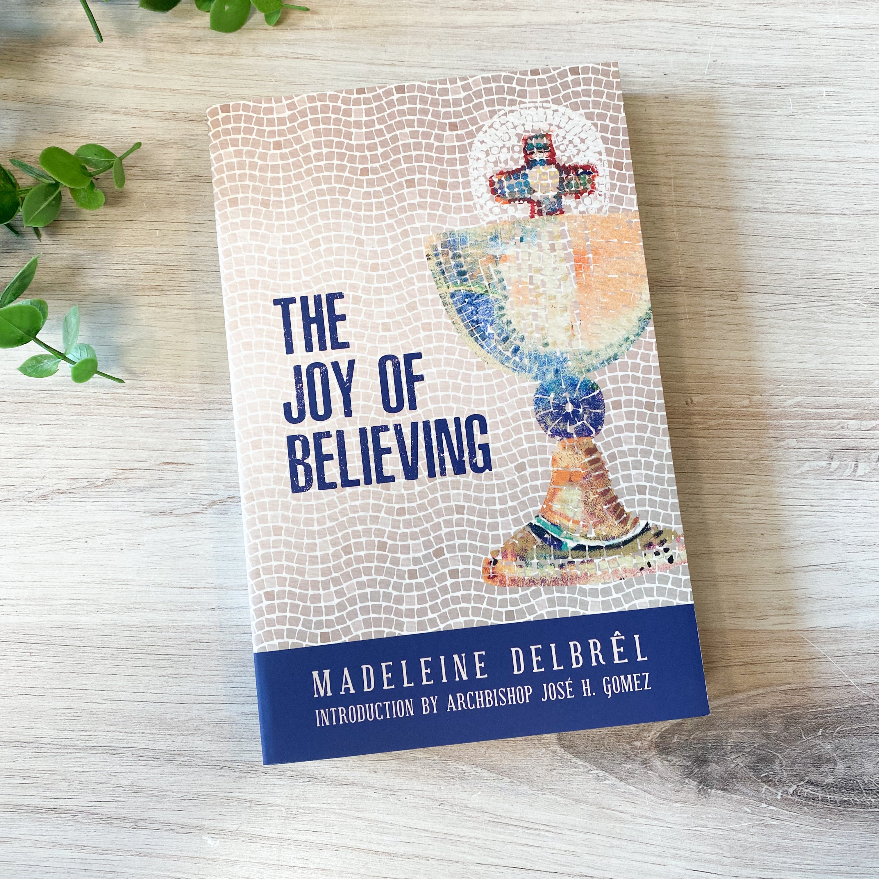 Joy of Believing
