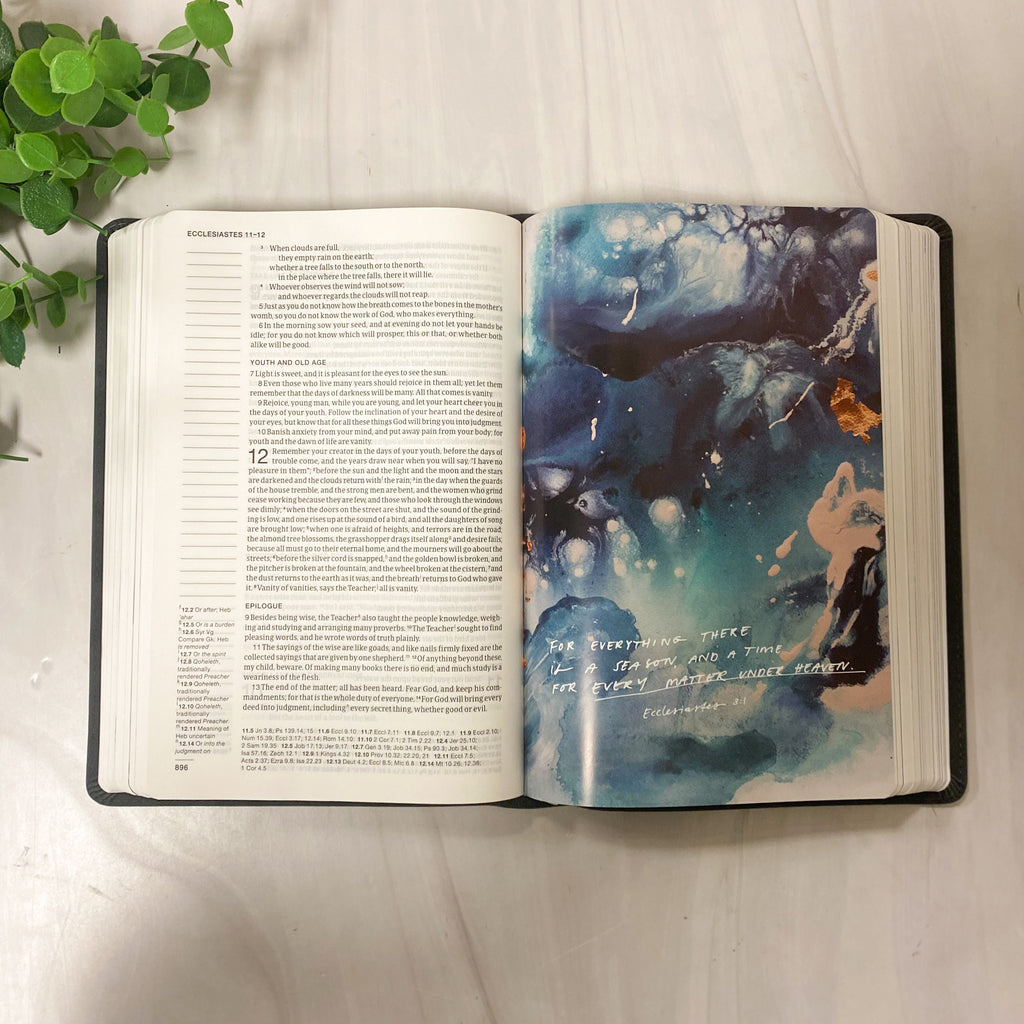 Blessed Is She Single-Column Journaling Bible (NRSV-CE, with Imprimatur)