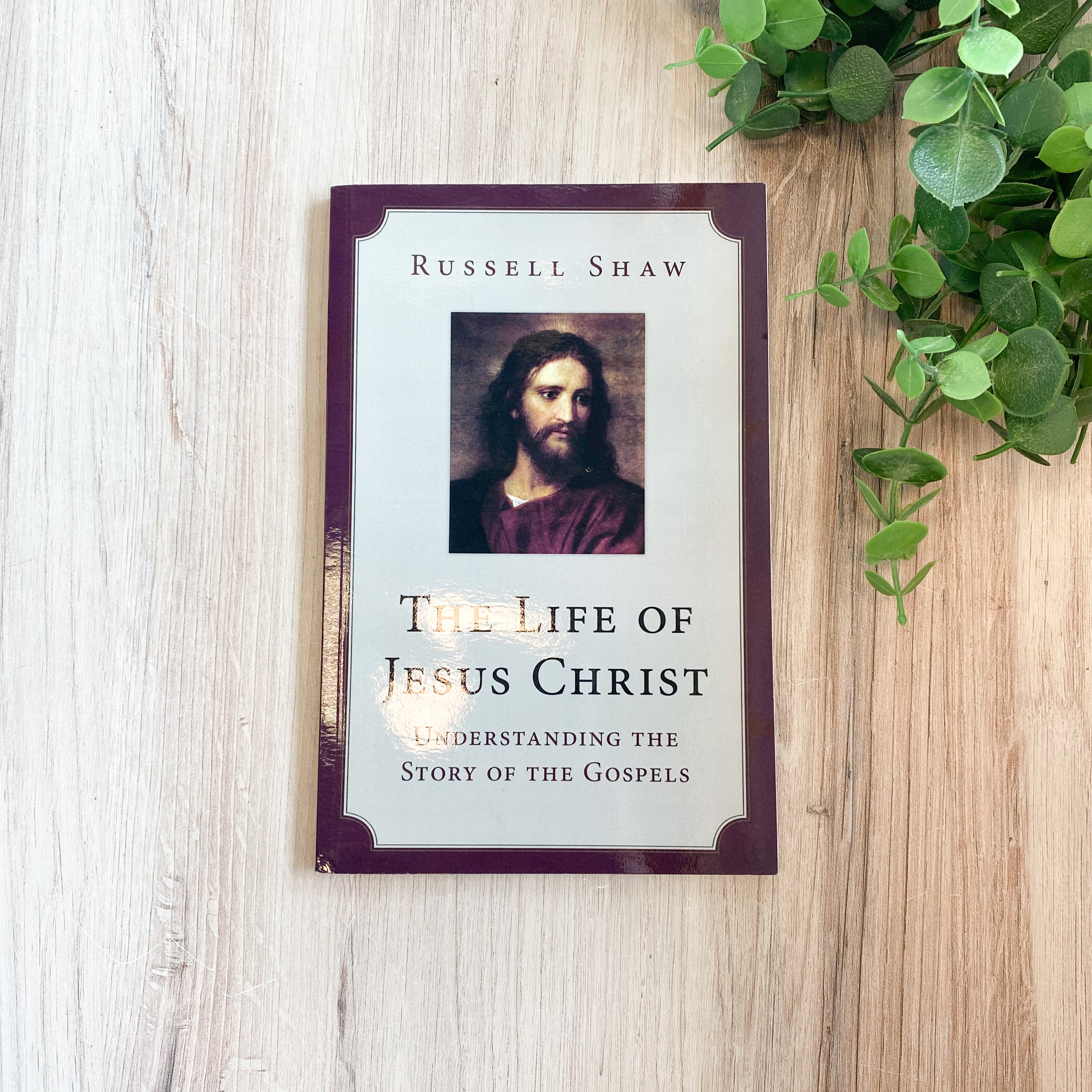 The Life of Jesus Christ: Understanding the Story of the Gospels