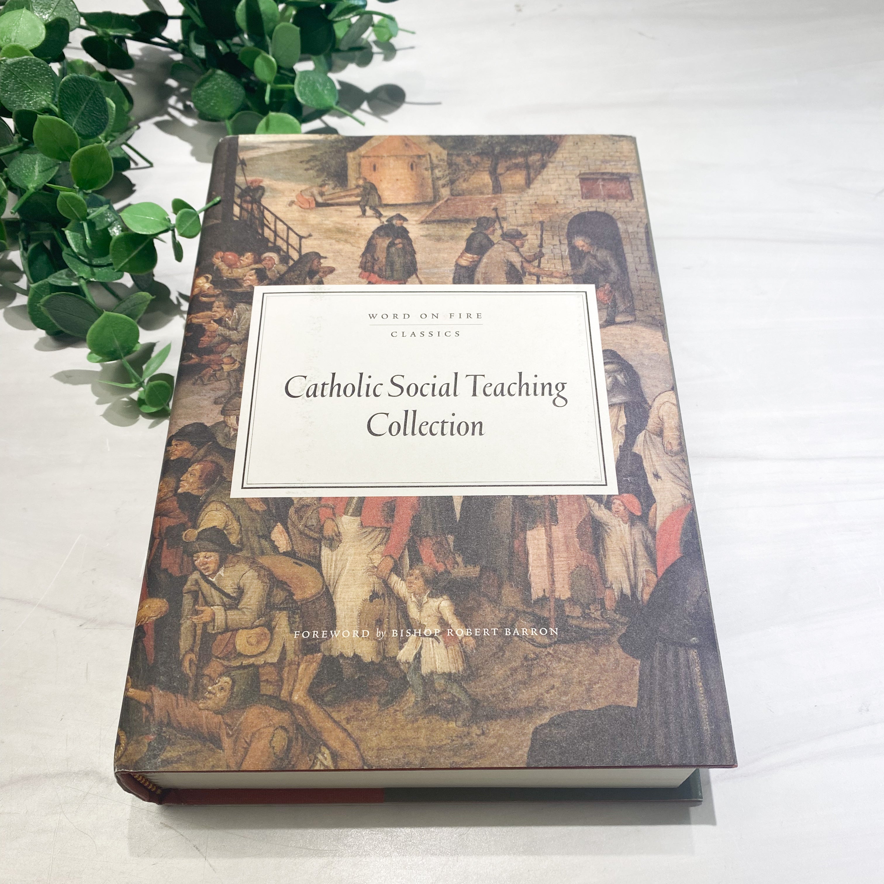 Catholic Social Teaching Collection