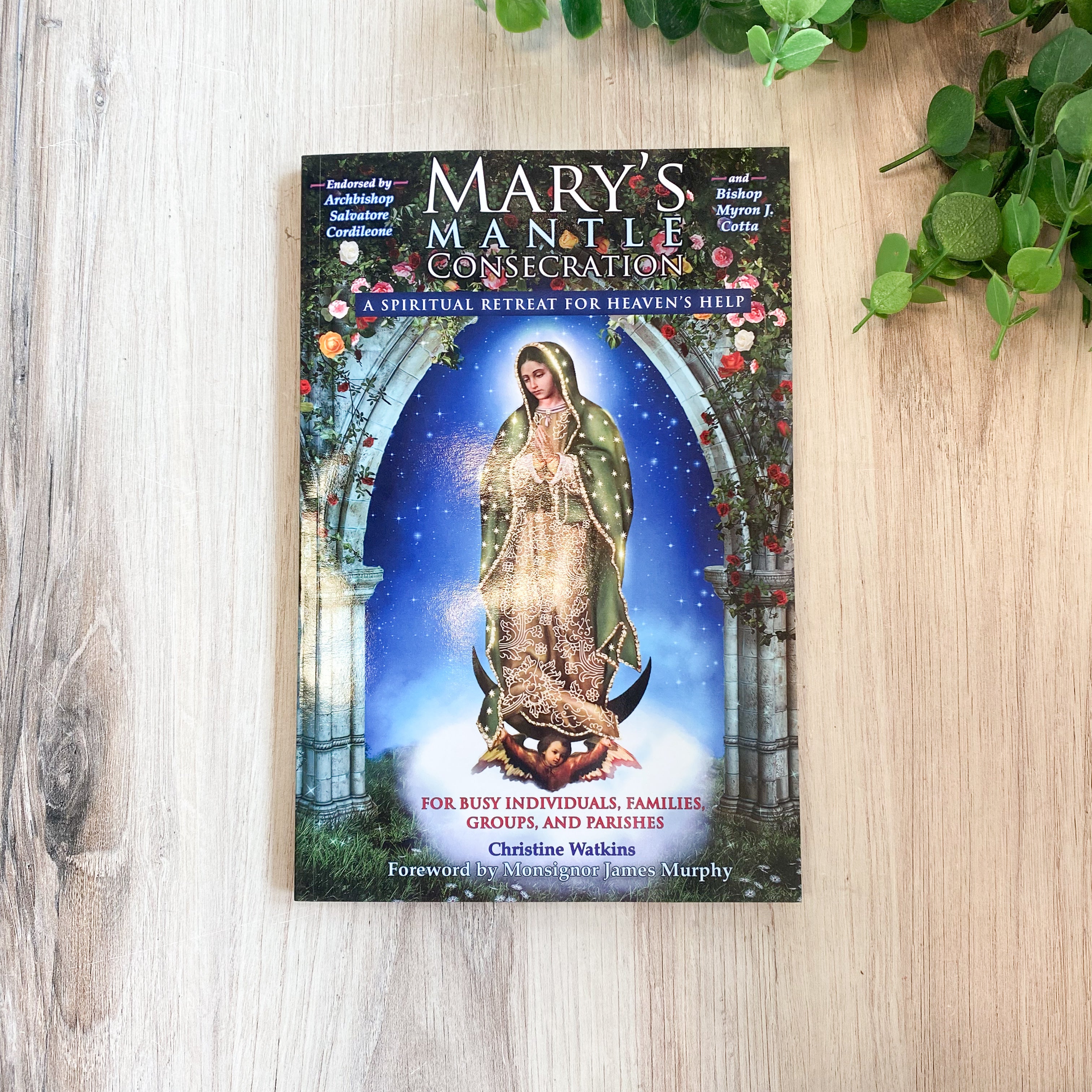 Mary's Mantle Consecration