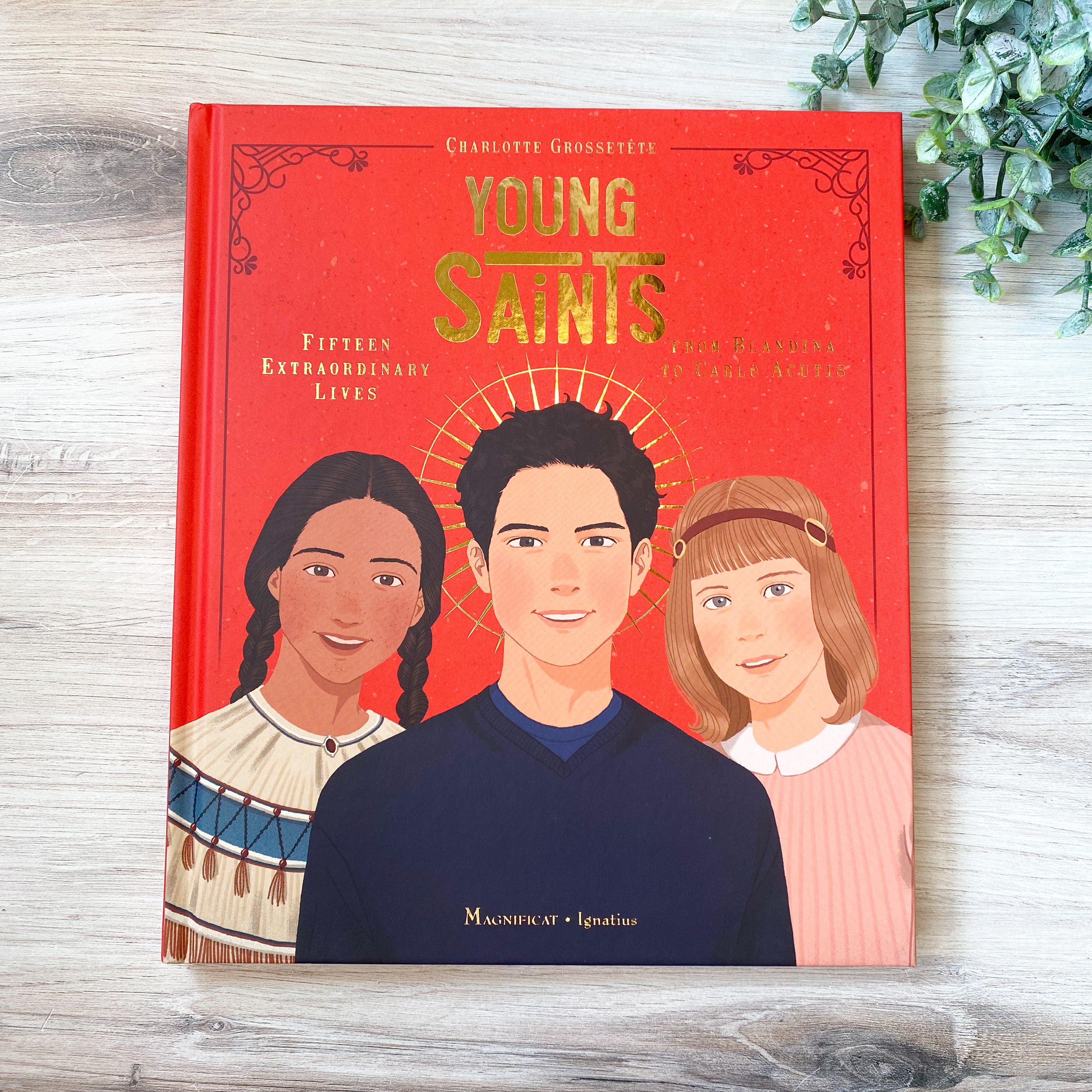 Young Saints: Fifteen Extraordinary Lives From Blandina to Carlo Acutis