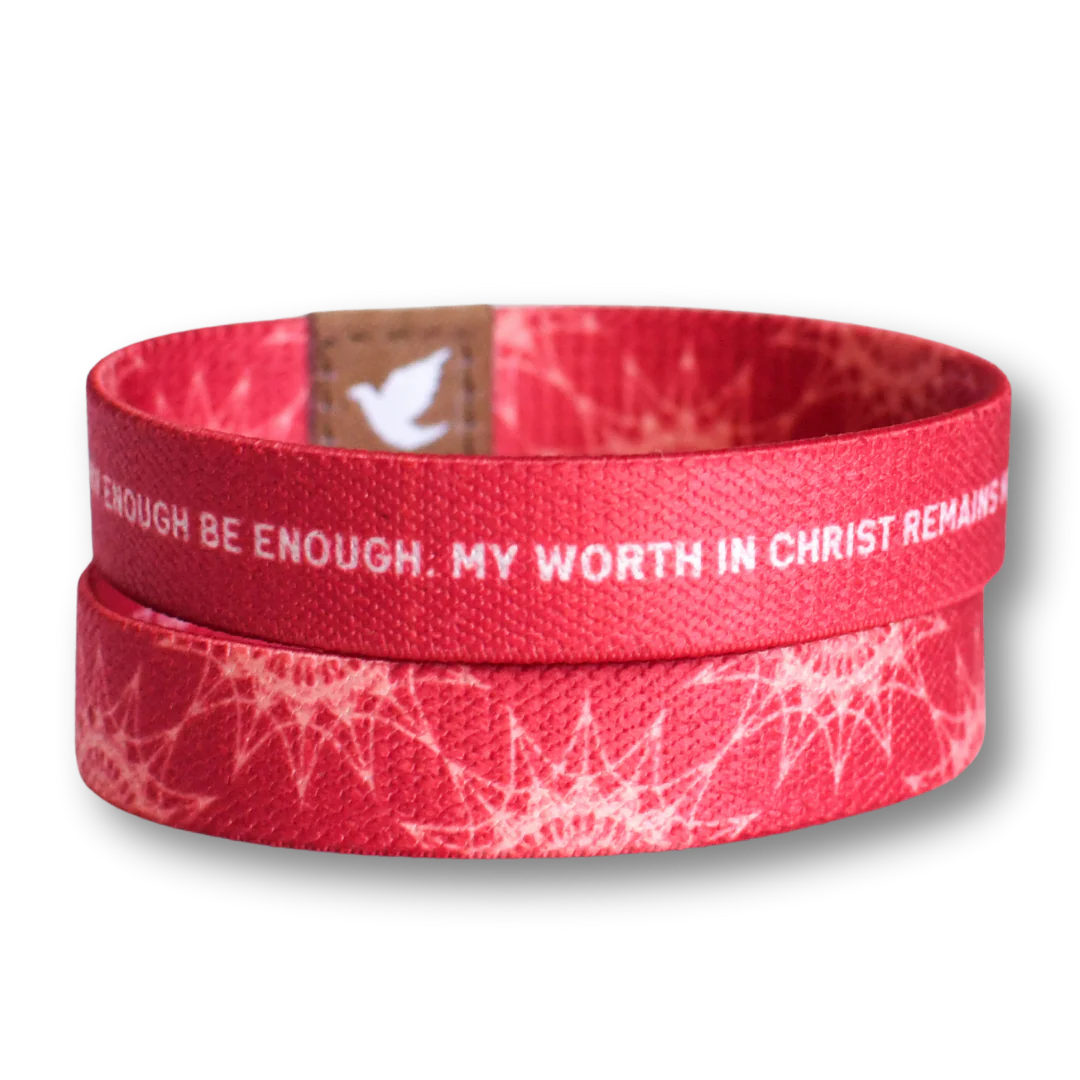 My Worth in Christ Women's TruthBand