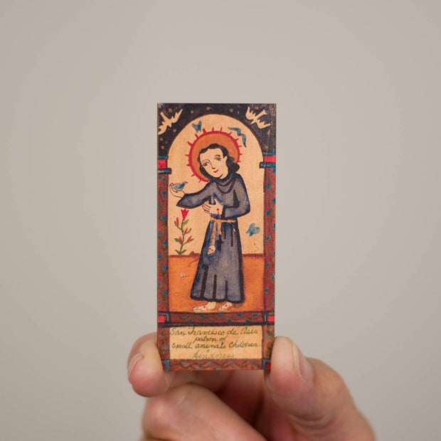 San Francisco de Asis A - Animals, Kindness and Ecology