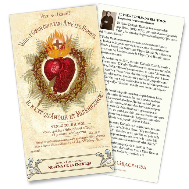 Surrender Novena SPANISH  Trifold Holy Card  (LARGE FONT)