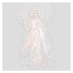 Paint By Numbers-Divine Mercy