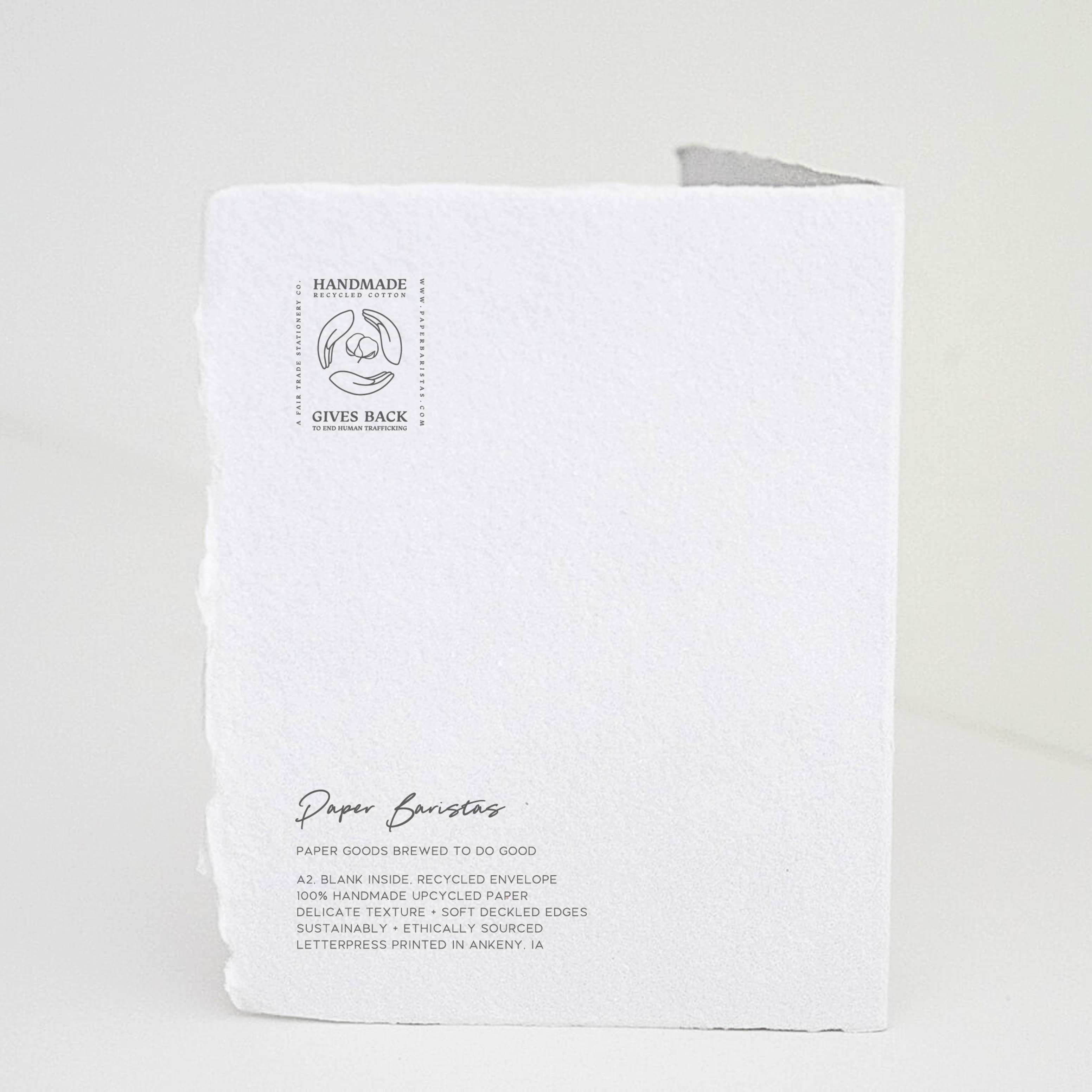 Grateful For All Of You | Eco-Friendly Greeting Card
