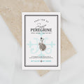 Saint Peregrine 16MM