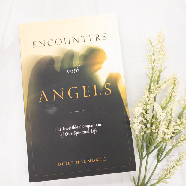 Encounters with Angels: The Invisible Companions of Our Spiritual Life Catholic Literature Crossroads Collective