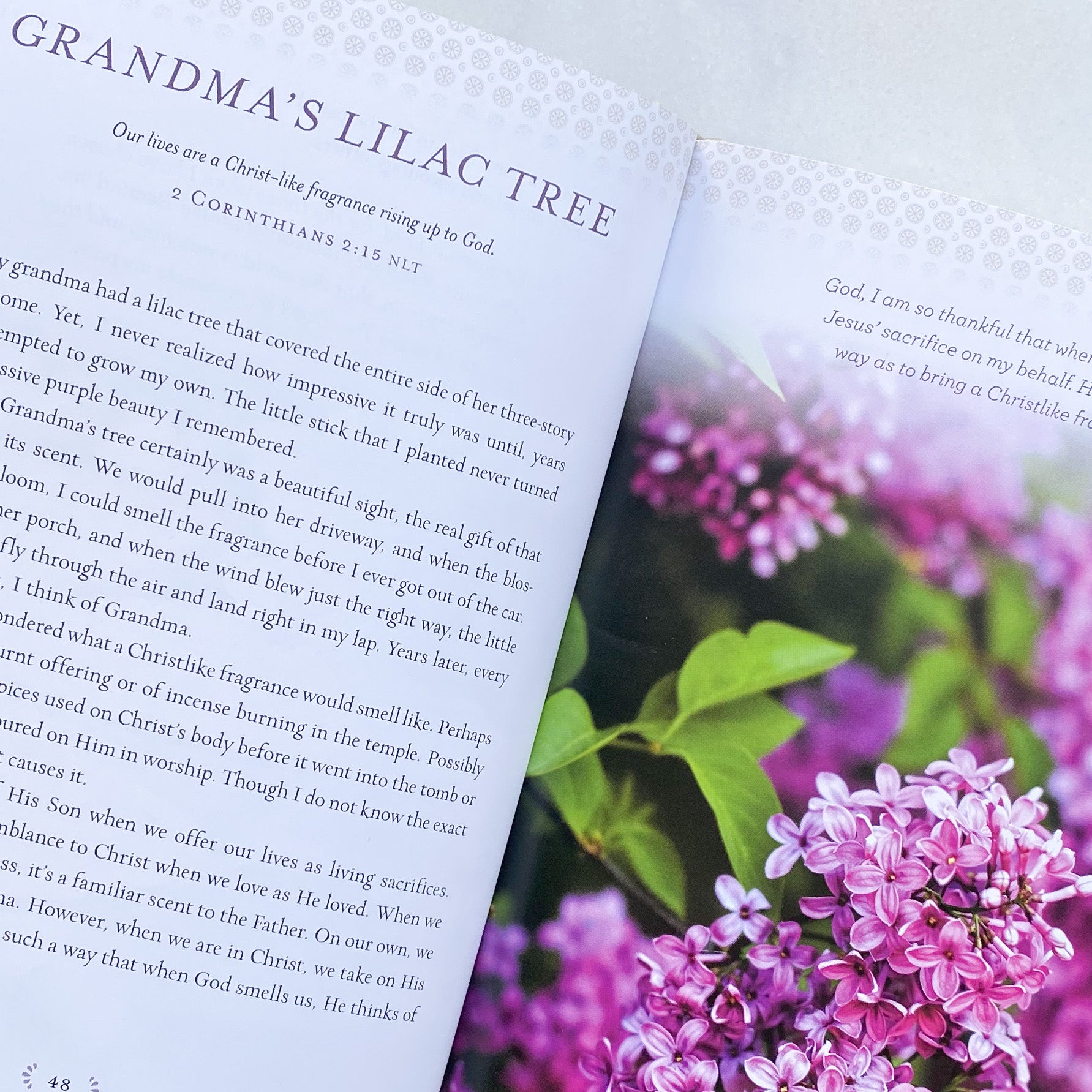 Devotions from the Front Porch Catholic Literature Crossroads Collective