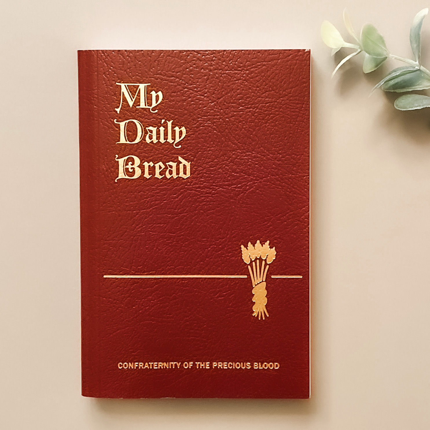 My Daily Bread: A Summary of the Spiritual Life Catholic Literature Crossroads Collective