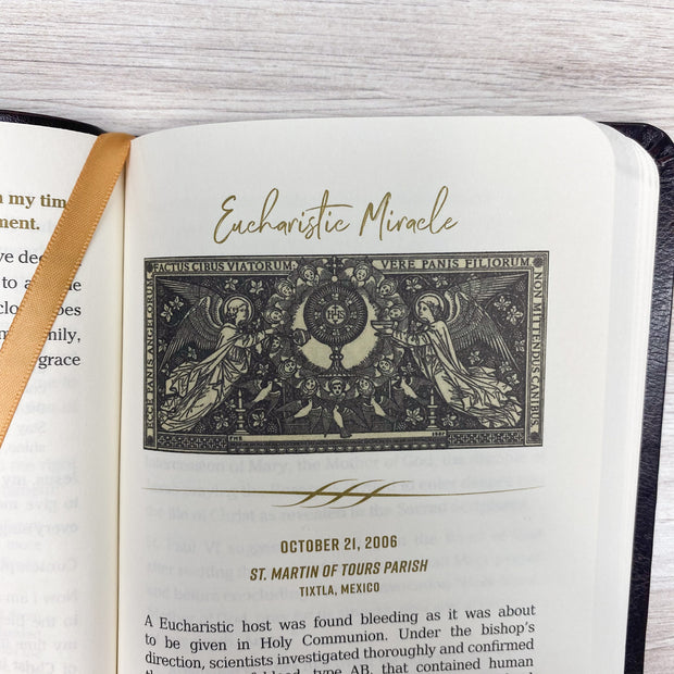 Pocket Guide to Adoration Catholic Literature Crossroads Collective