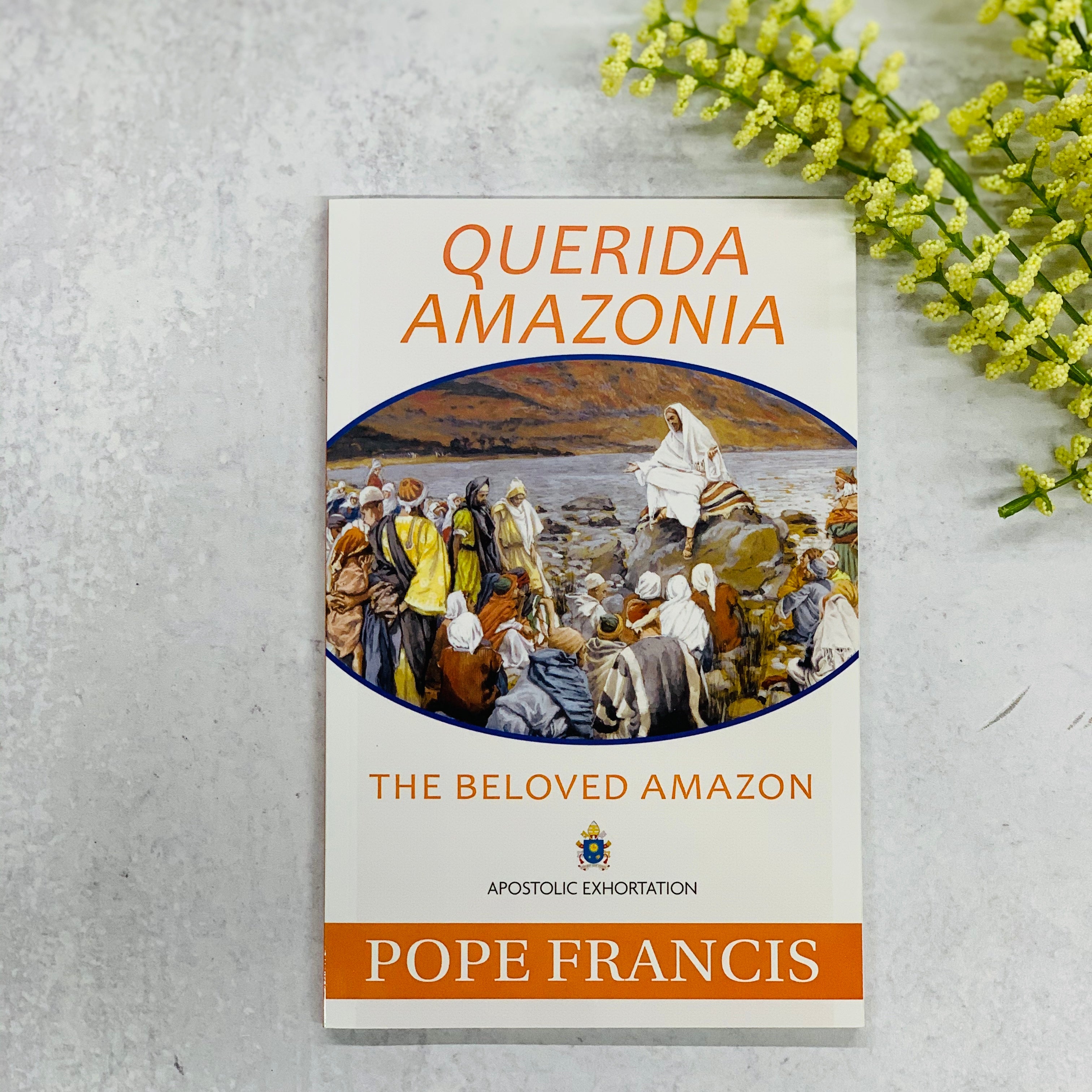 Querida Amazonia: The Beloved Amazon Catholic Literature Crossroads Collective