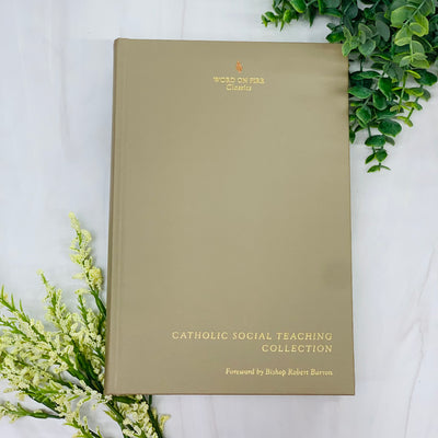 Catholic Social Teaching Collection Crossroads Collective