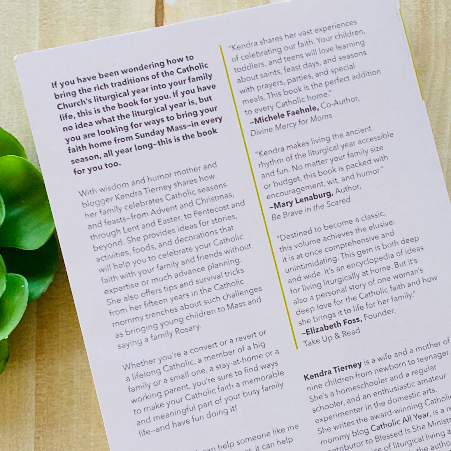 The Catholic All Year Compendium: Liturgical Living for Real Life Catholic Literature Crossroads Collective