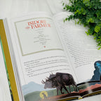 Stories of the Saints: Bold and Inspiring Tales of Adventure, Grace and Courage Children's books Crossroads Collective