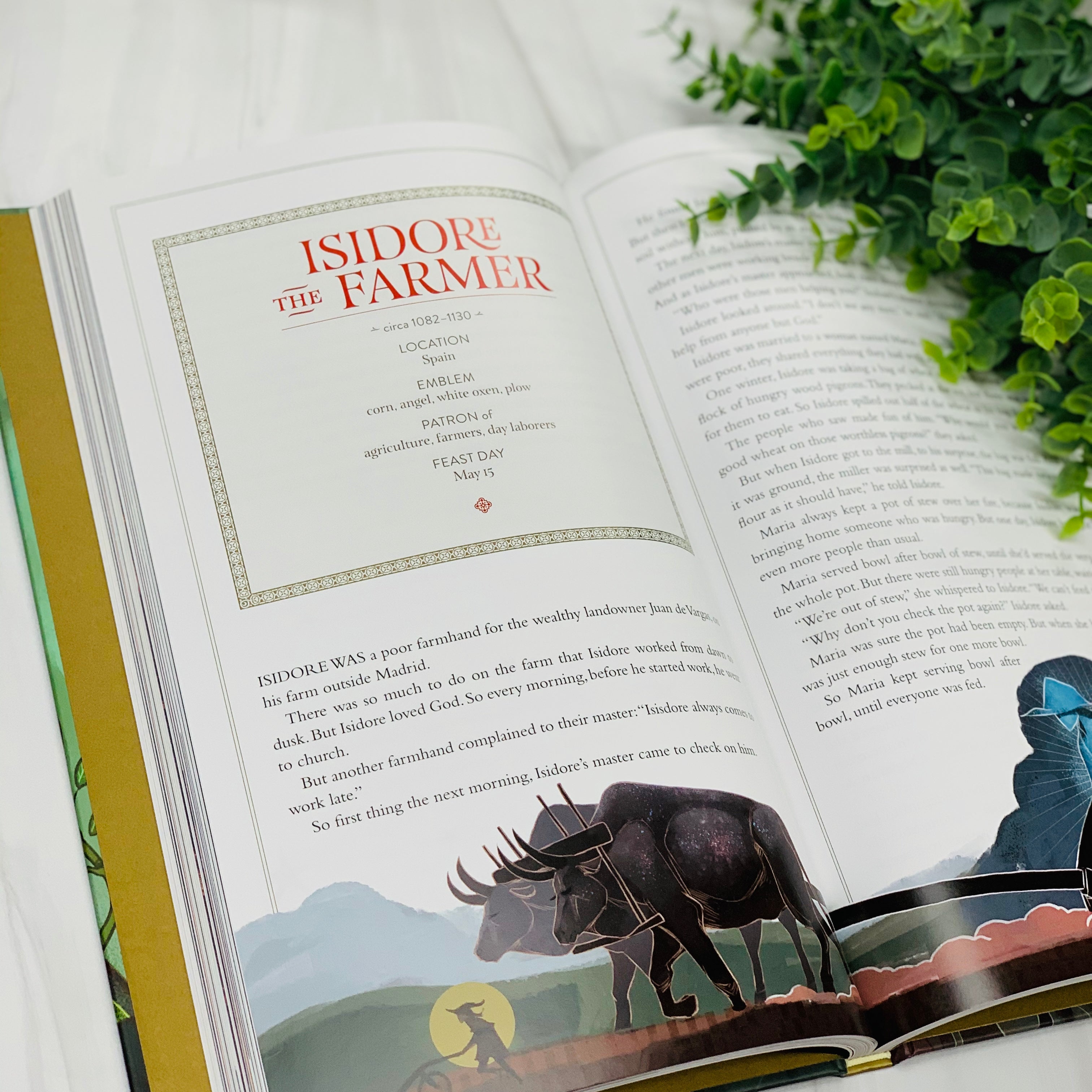 Stories of the Saints: Bold and Inspiring Tales of Adventure, Grace and Courage Children's books Crossroads Collective