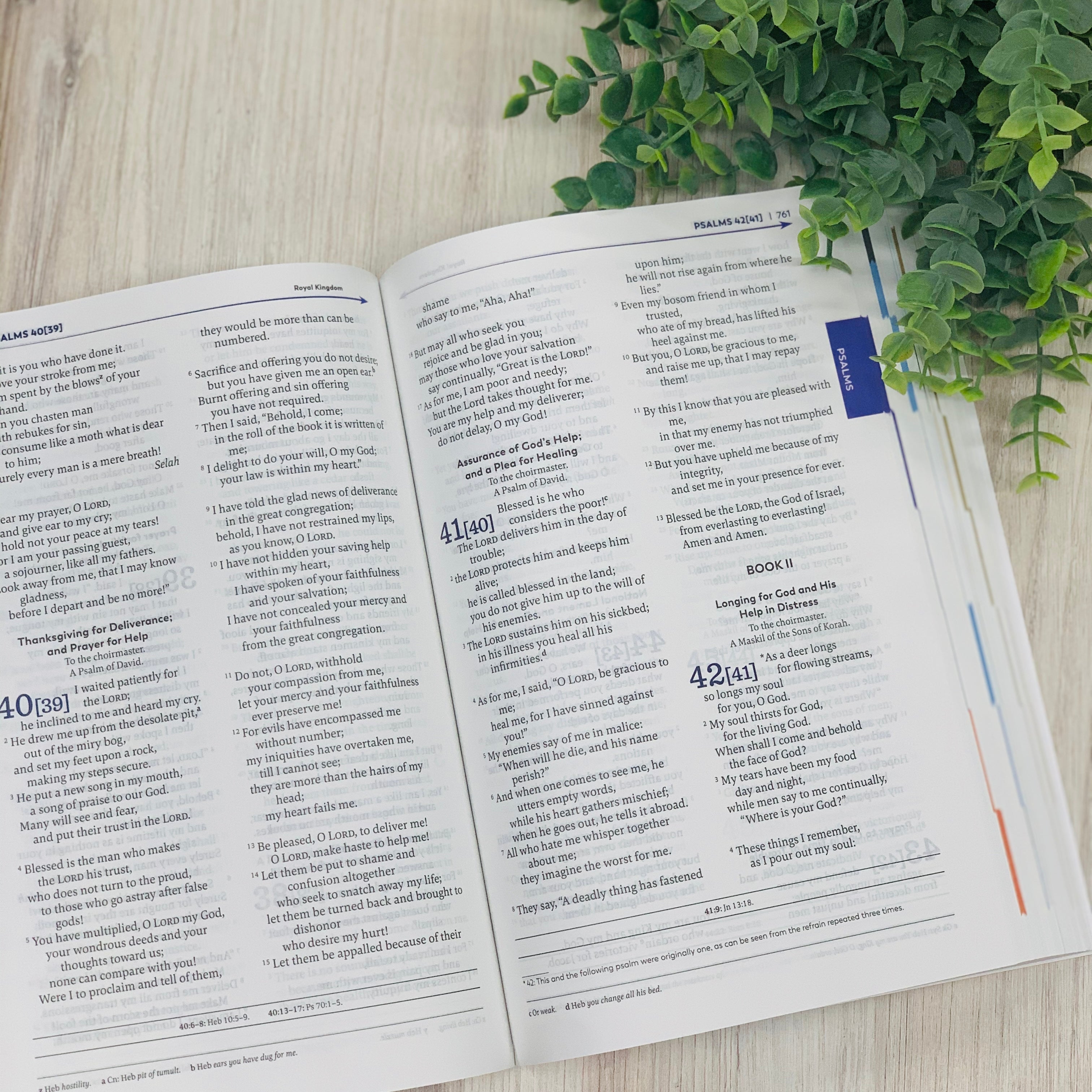 The Great Adventure Bible paperback Bibles & Missals Crossroads Collective