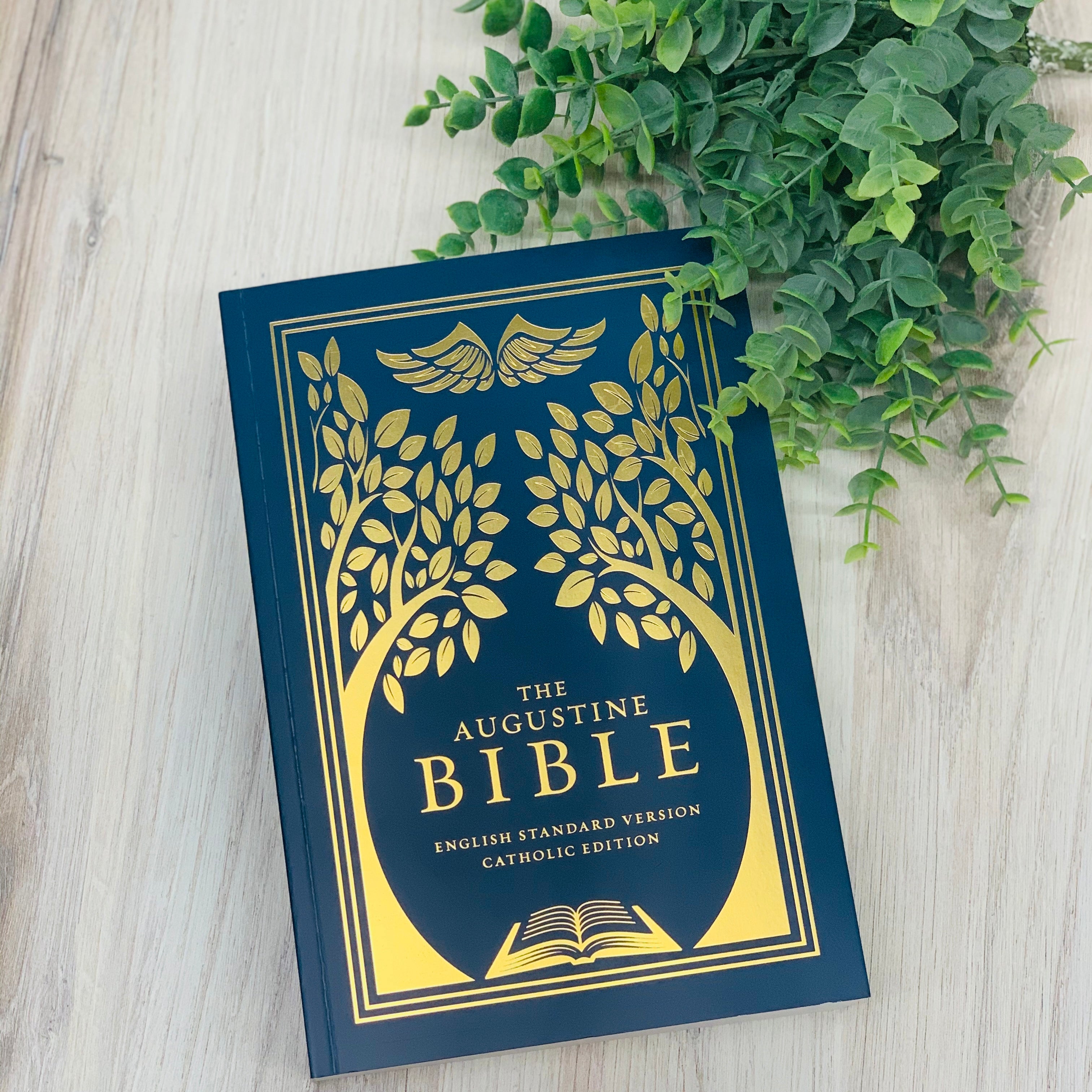 The Augustine Bible Bibles & Missals Crossroads Collective