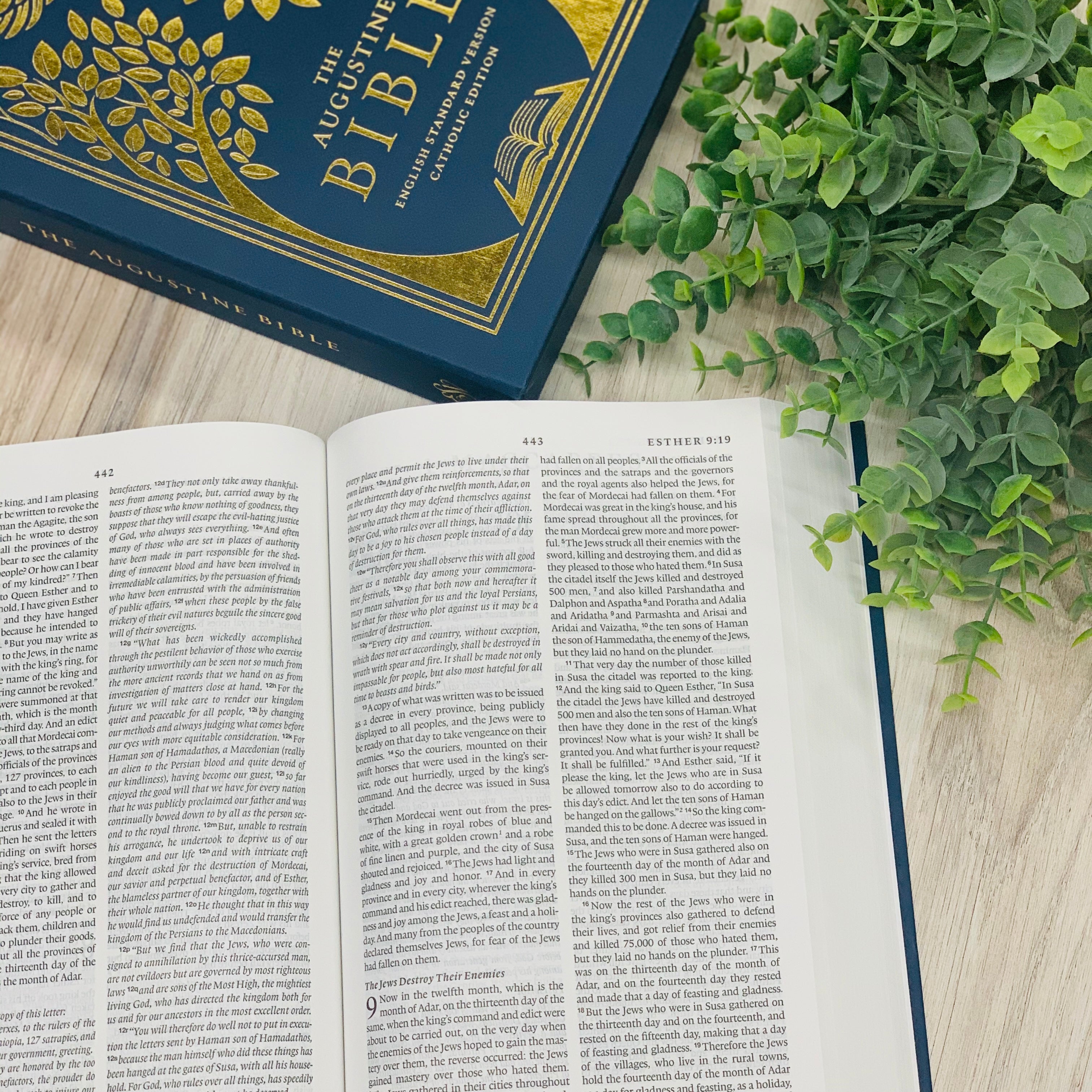 The Augustine Bible Bibles & Missals Crossroads Collective