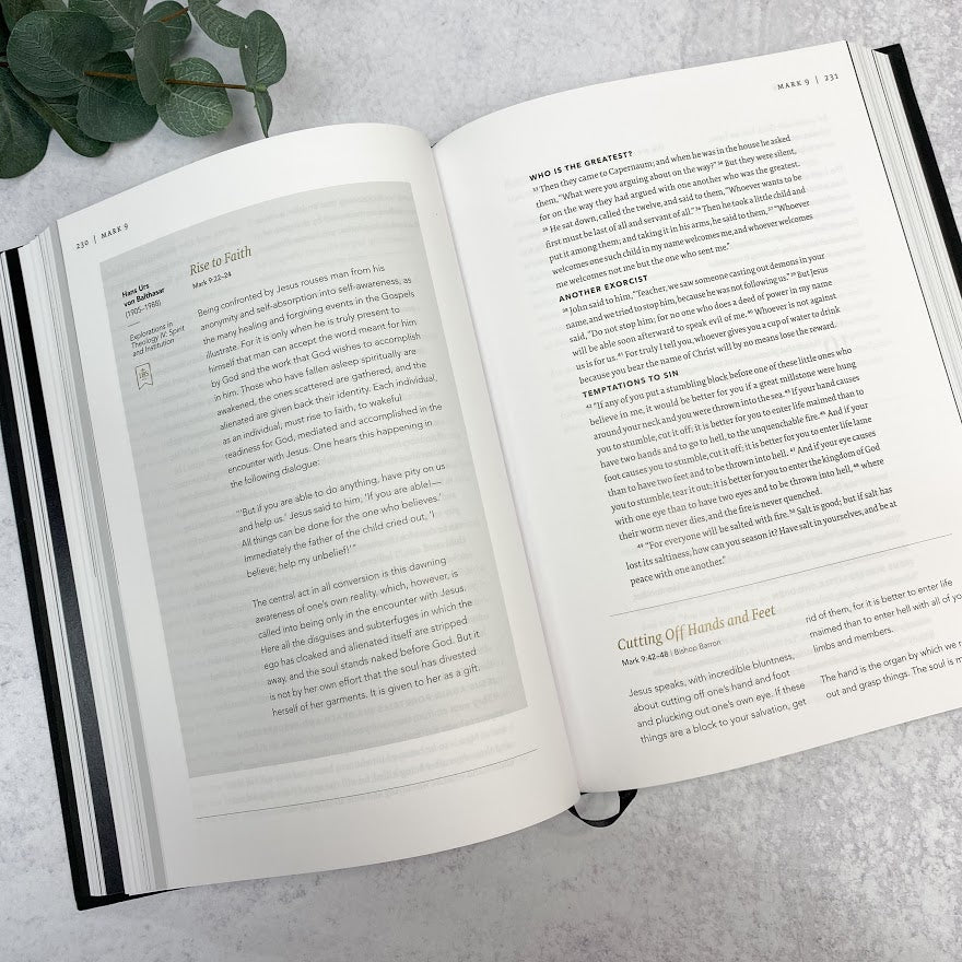 Word on Fire Bible (Volume 1): The Gospels- Hardcover – Crossroads