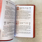 Minute Meditations for Each Day Crossroads Collective