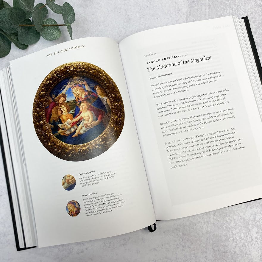 Word on Fire Bible (Volume 1): The Gospels- Leather Bibles & Missals Crossroads Collective