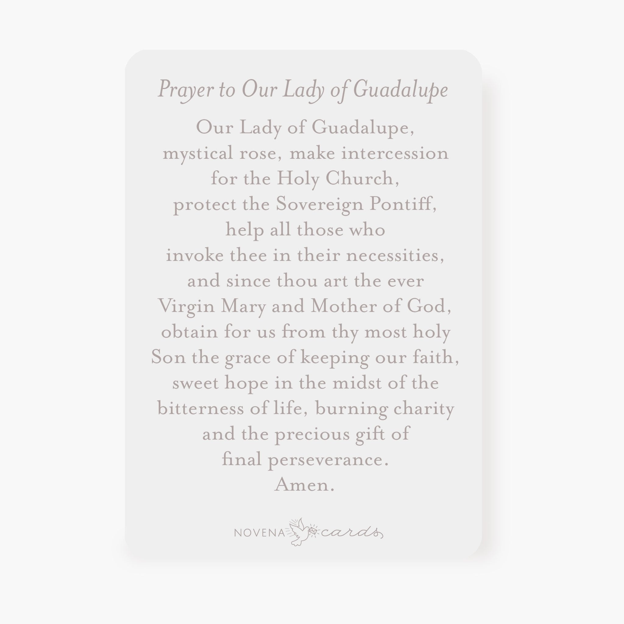 Our Lady of Guadalupe Prayer Card | Pray For Us | Peach Cards Crossroads Collective