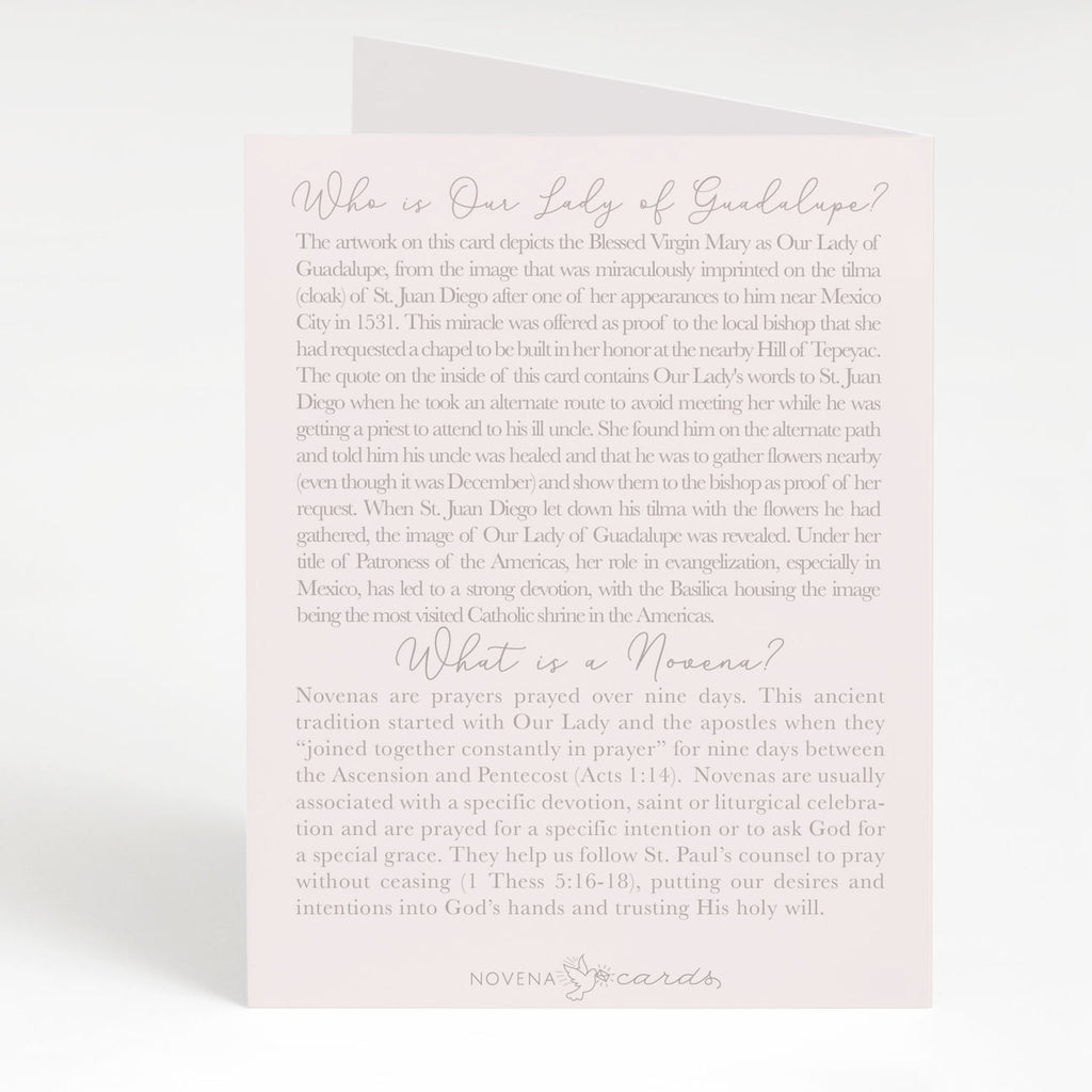 Our Lady of Guadalupe Novena Card | Light Peach Cards Crossroads Collective