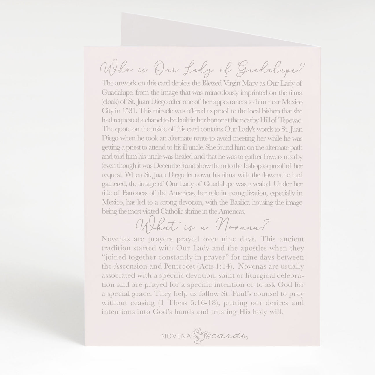 Our Lady of Guadalupe Novena Card | Light Peach Cards Crossroads Collective