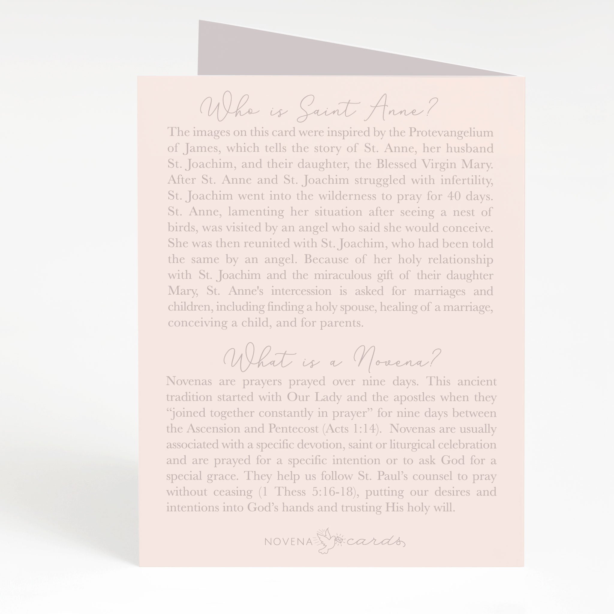 St. Anne Novena Card | Pink Cards Crossroads Collective